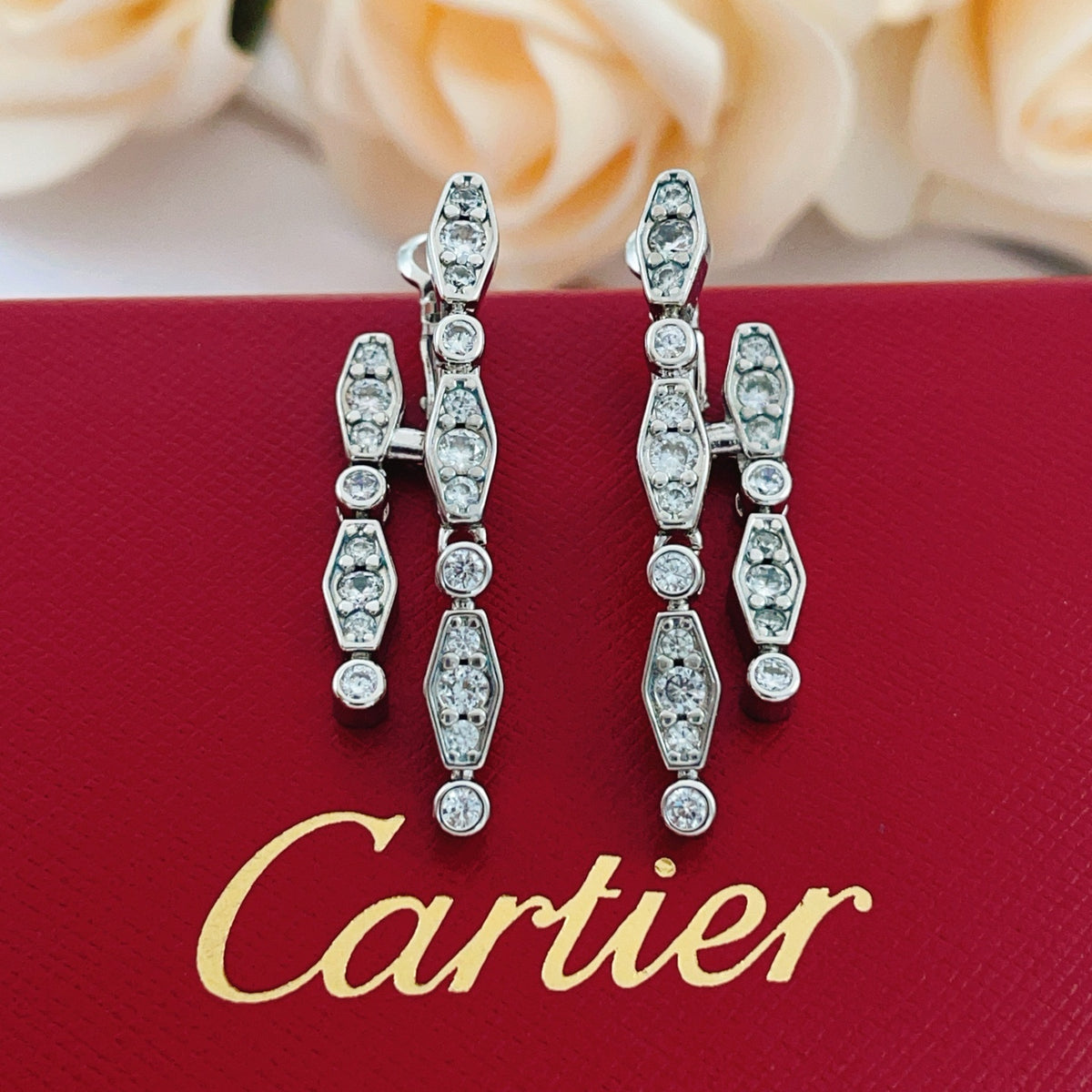 silver brass tassel Stud Earrings for women - product detail view