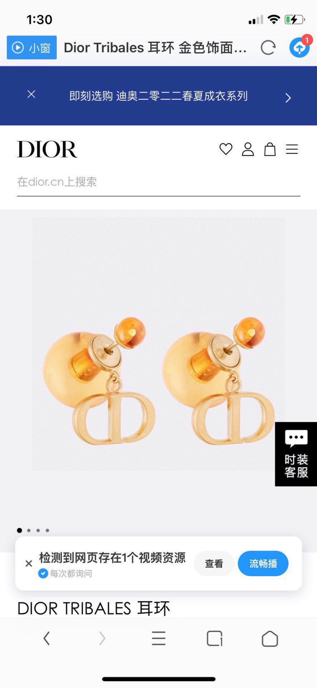 Drop Earrings for women - product detail view