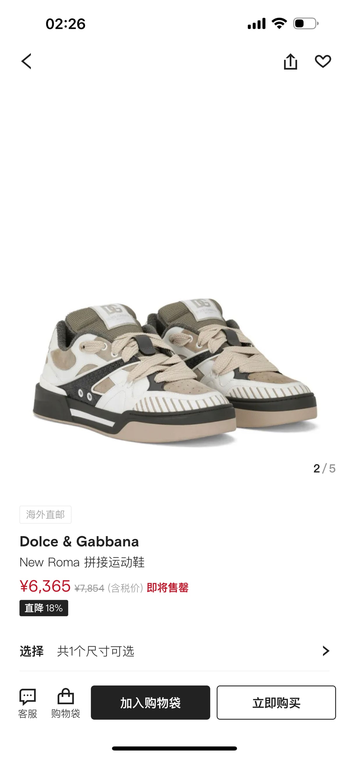 Dolce & Gabbana DG Cushion Calfskin Skate Sneakers with TPU Sole