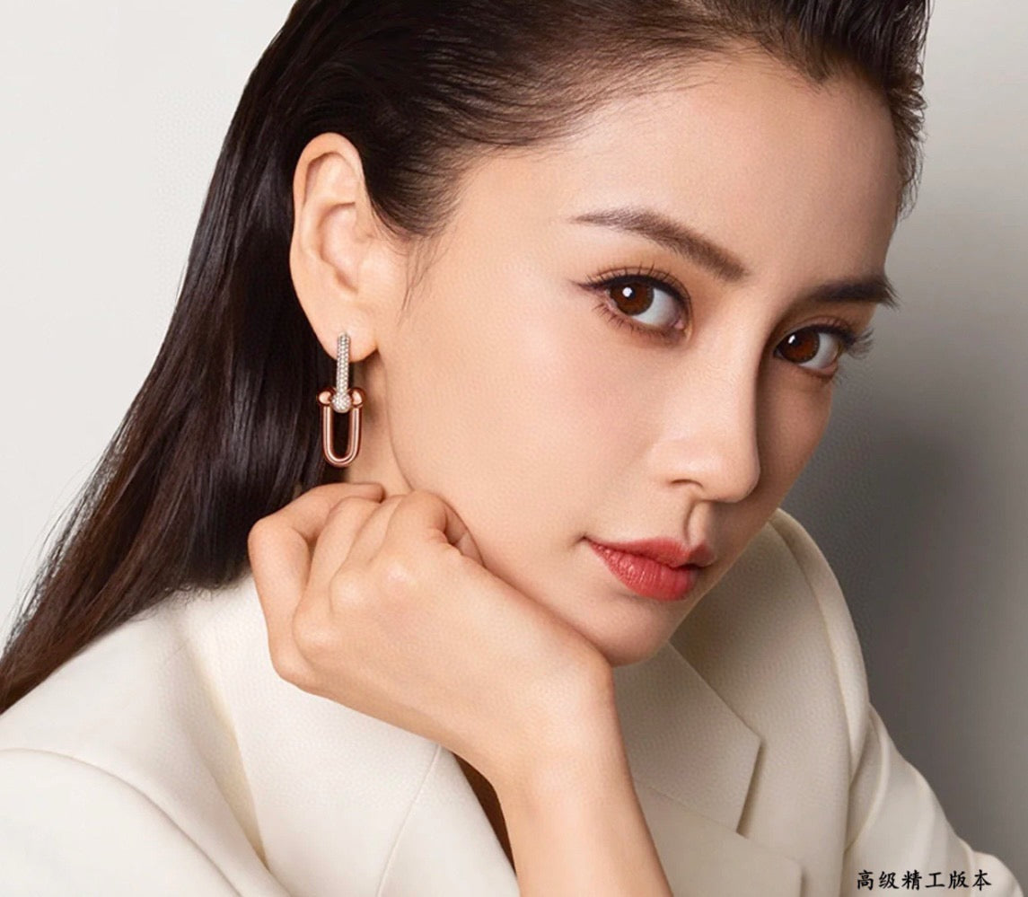 crystal horseshoe Drop Earrings for women - product detail view