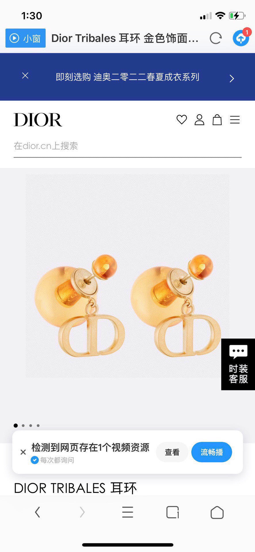 Drop Earrings for women - product detail view