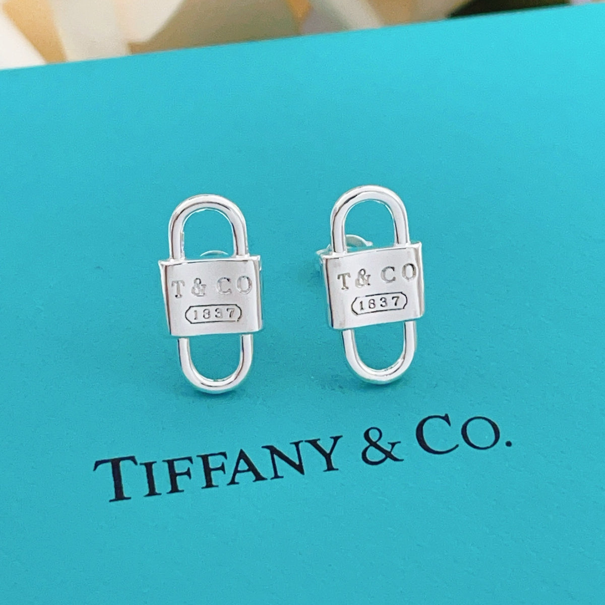 silver brass luxury Stud Earrings for women - product detail view