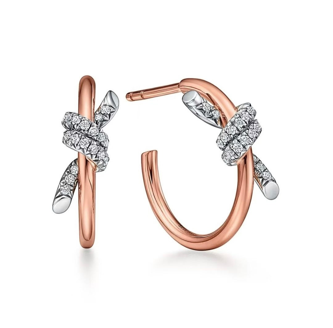 gold silver post Stud Earrings for women - product detail view